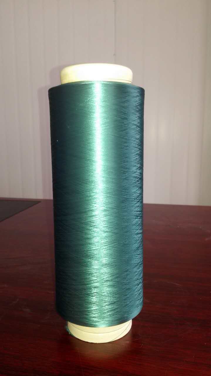 Nylon6 Dope Dyed Yarn